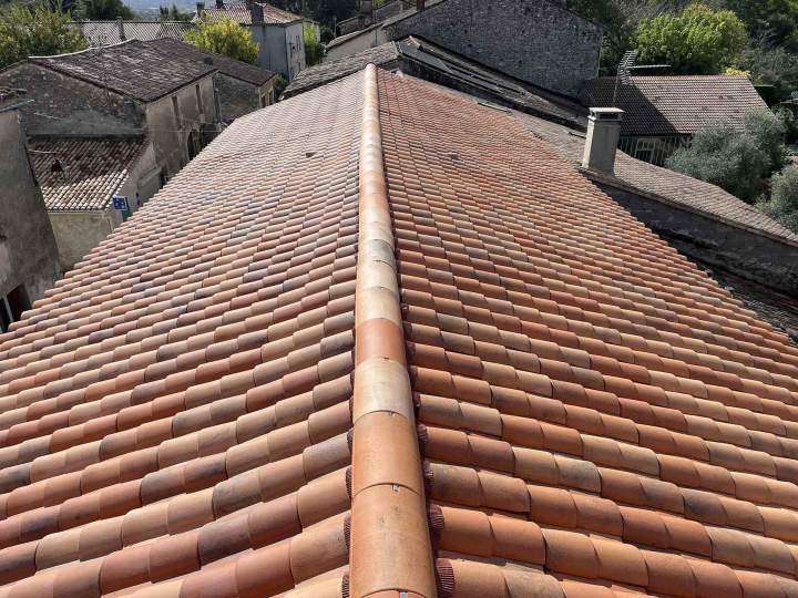 Nettoyage et démoussage pour une toiture saine et durable